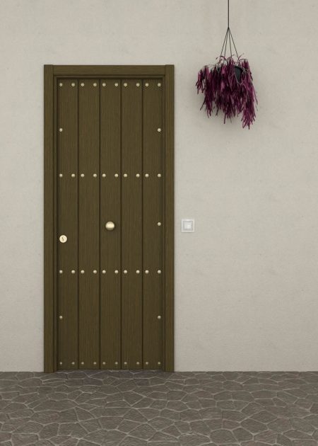 Puerta de entrada rústica con duelas verticales y clavos imitación madera