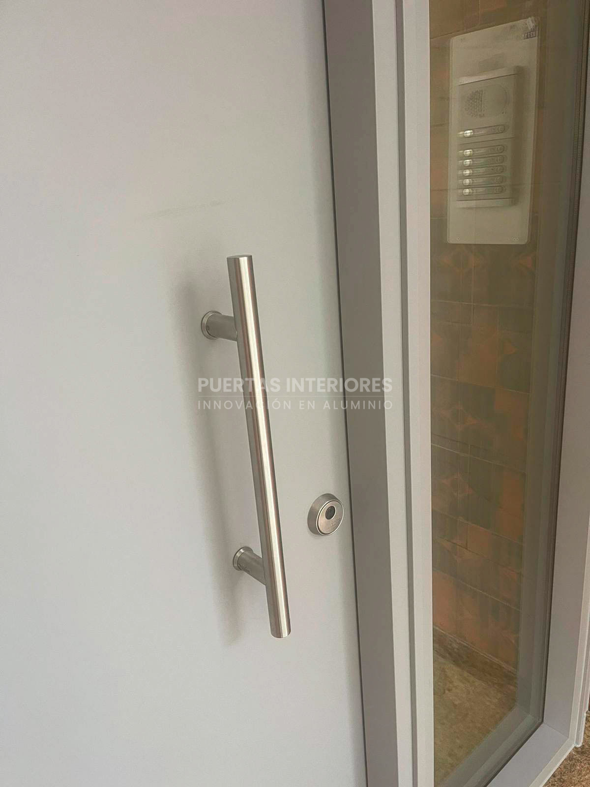 Puerta de entrada de aluminio gris con vidrios fijos