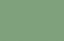 Verde Pálido(ral 6021)